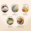 Pet Head Paw Butter with Shea Butter for Sensitive Dogs 40g