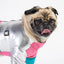 Silver Paw Pink Ricki Dog Tracksuit - Small