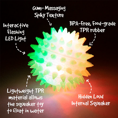 Gnawsome Small Squeak and Light Ball - Small 2.5"