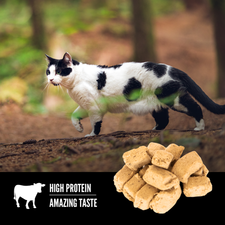 Orijen Freeze Dried Cat Treats Regional Red Recipe 35g