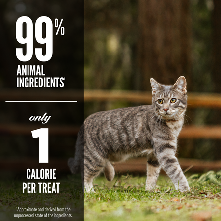 Orijen Freeze Dried Cat Treats Regional Red Recipe 35g