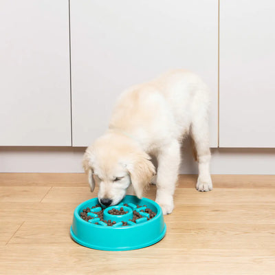 ZippyPaws Happy Bowl Slow Feeder - Donut