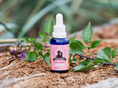 Happy Buddies Canine Whole Hemp Plant Extract Oil Tincture Small Breed 30ml