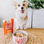 Stella & Chewy's Bountiful Bone Broth Cage-Free Beef Recipe 16oz