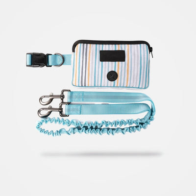 Silver Paw Blue Hands Free Dog Leash