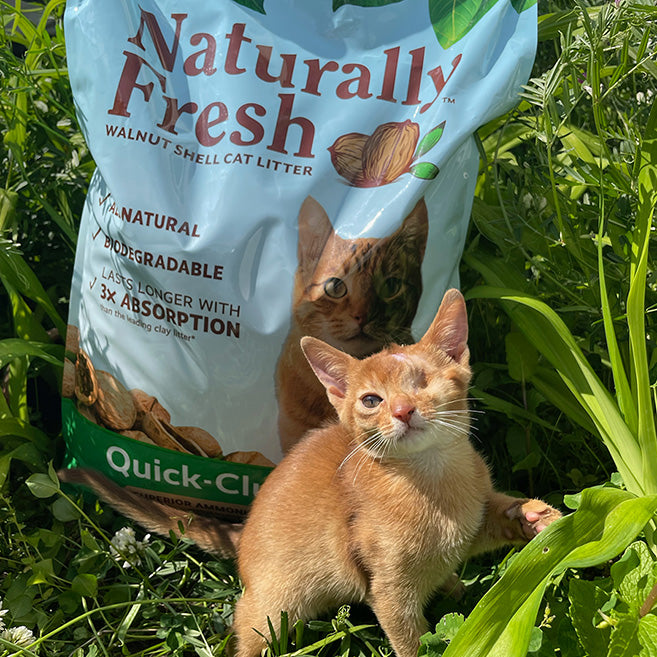 Naturally Fresh Quick Clumping Litter 10lb