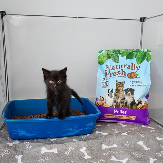 Naturally Fresh Non-Clumping Pellet Litter 10lb