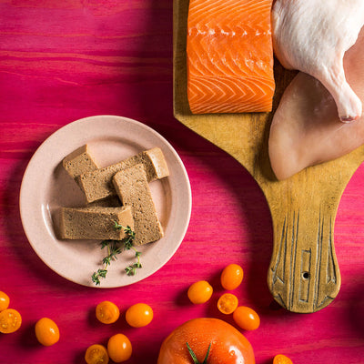 Fromm Four Star Chicken, Duck & Salmon Pate 5.5oz