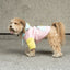 Silver Paw Pink Venice Dog Hoodie - Large