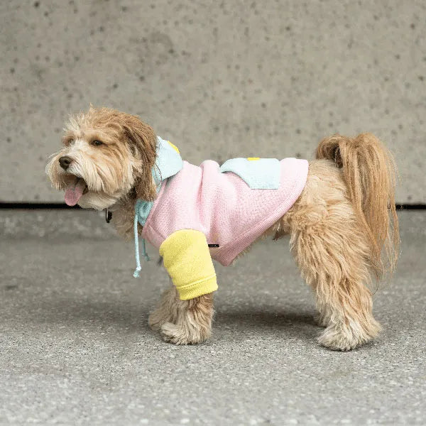 Silver Paw Pink Venice Dog Hoodie - Large