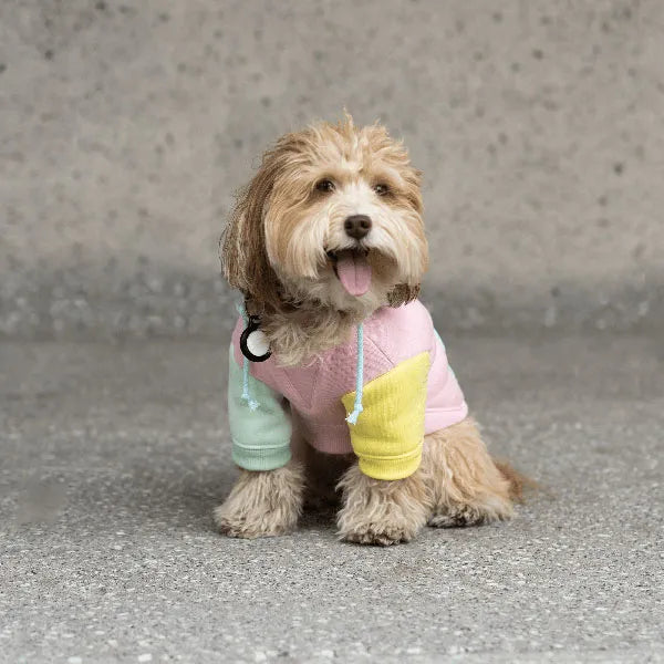 Silver Paw Pink Venice Dog Hoodie - Large