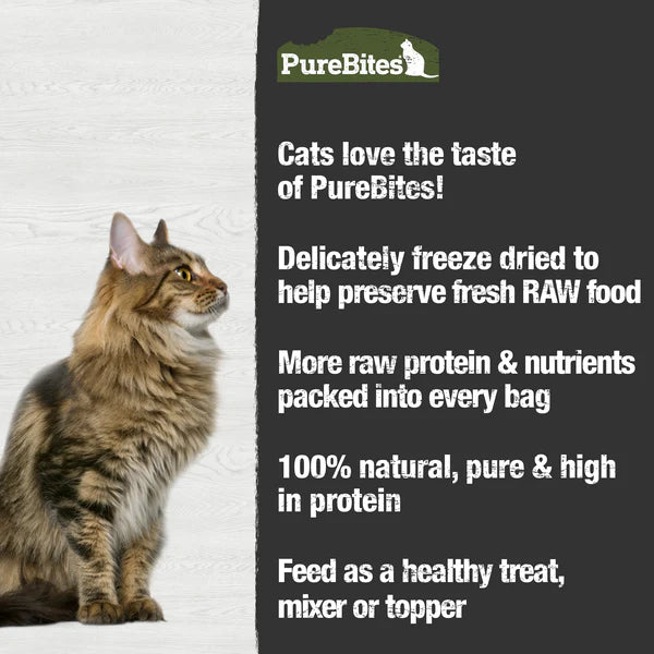PureBites Beef Freeze Dried Cat Treats 44g