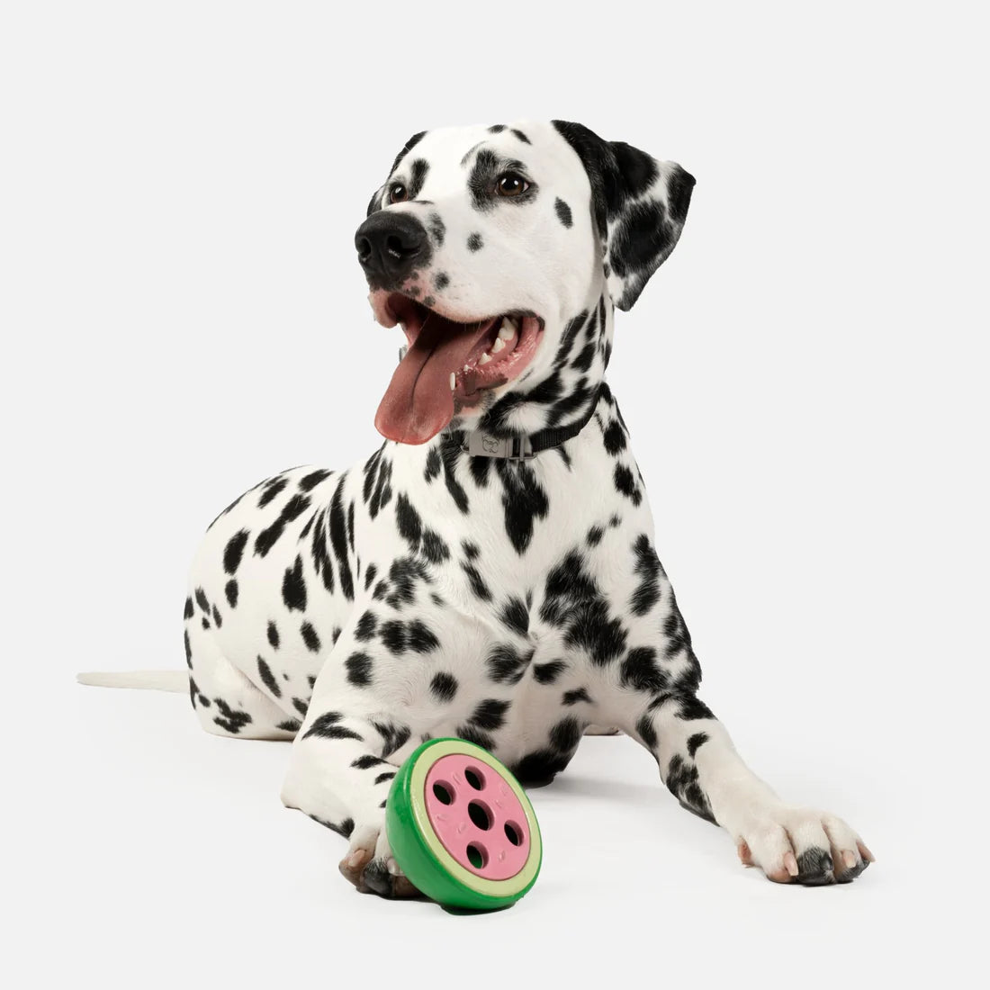 Silver Paw Watermelon Dog Toy | 100% Natural Rubber Chew for Safe & Interactive Play