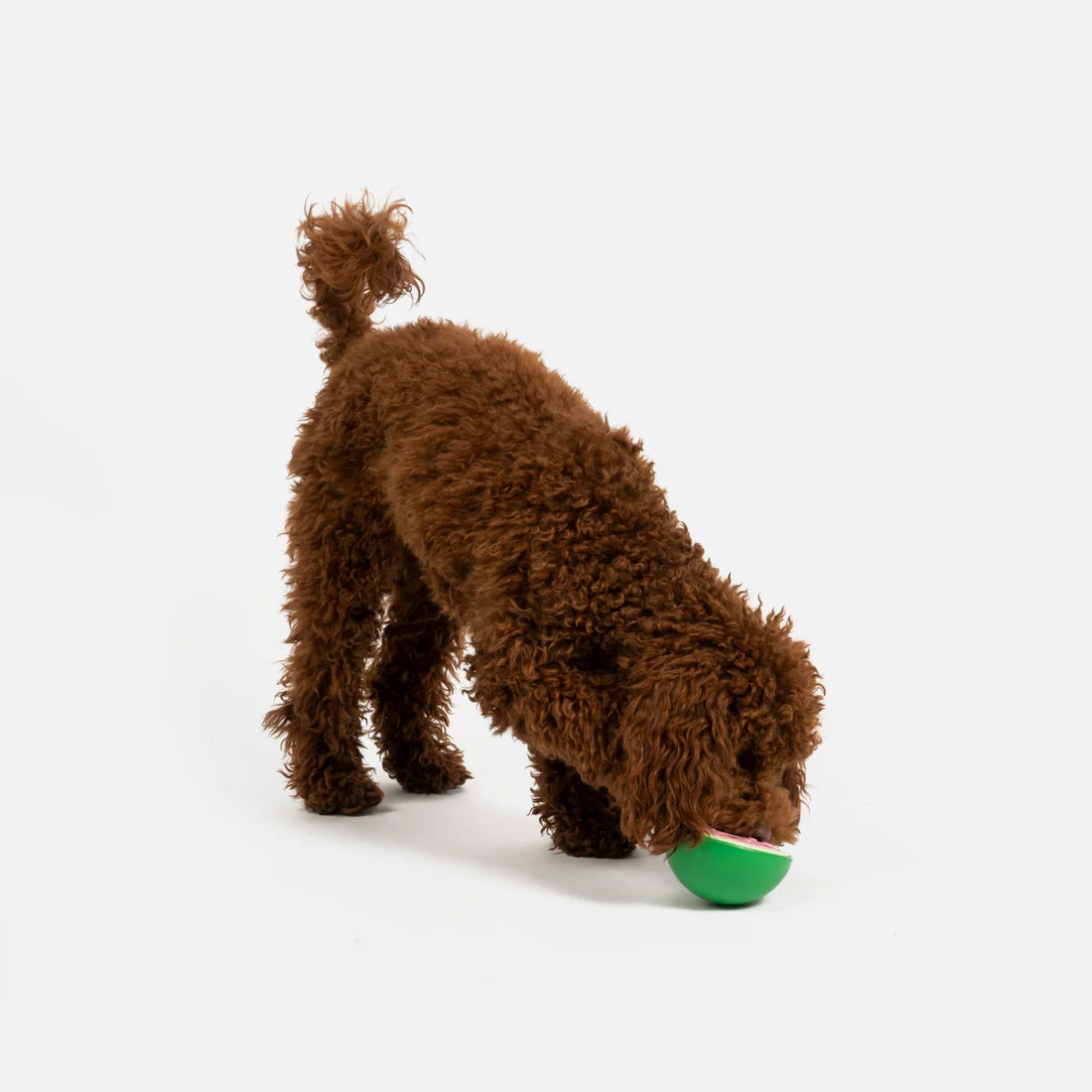 Silver Paw Watermelon Dog Toy | 100% Natural Rubber Chew for Safe & Interactive Play