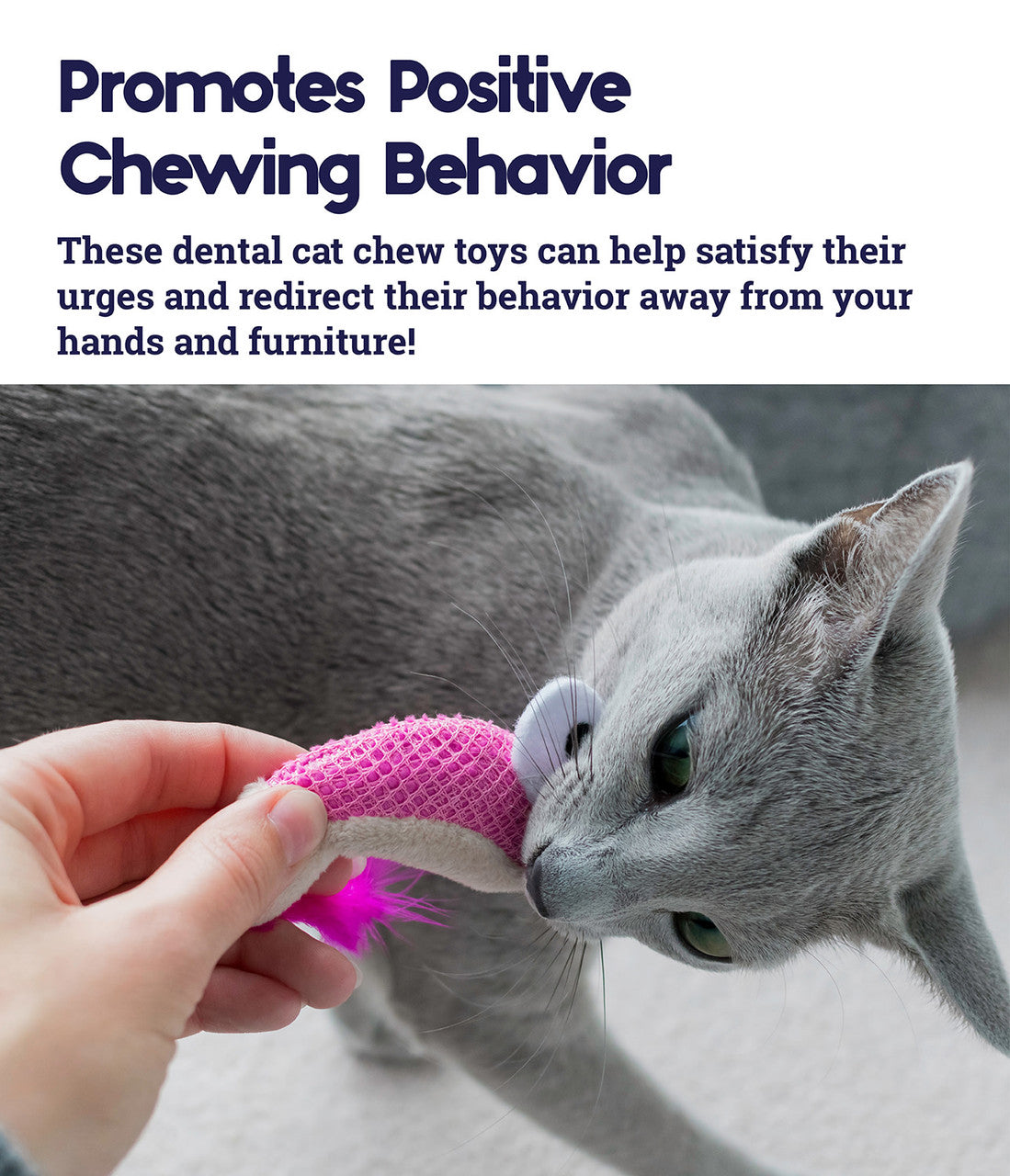 PetStages Catnip Dental Health Shrimpies - 2 Pack